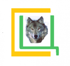 Логотип компании СЦ Волк