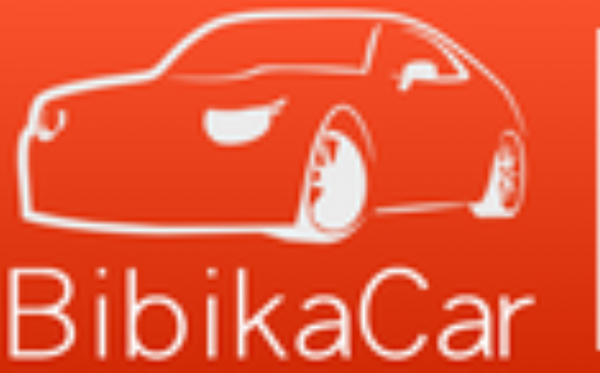 Логотип компании BibikaCar